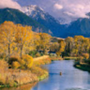 Meet your Posher, Jonathon